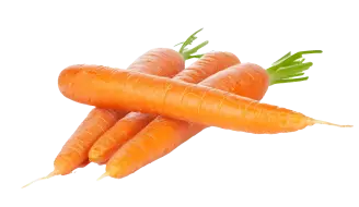 carrotte gaec